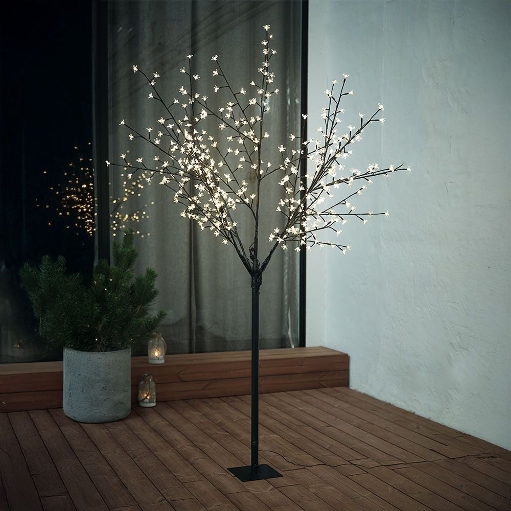 Led koki