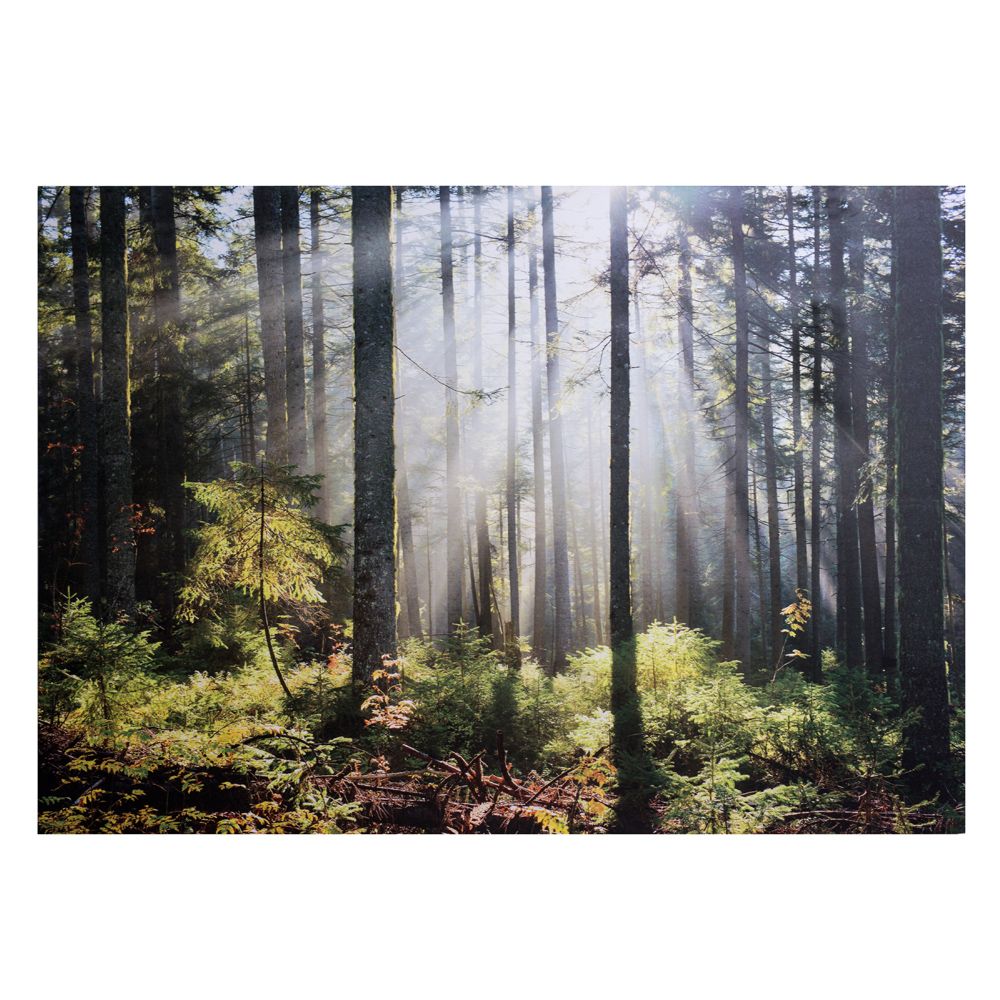 Fotoglezna PRINTS