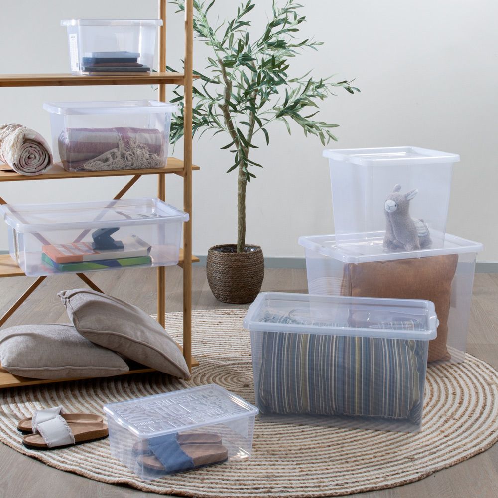 Uzglabāšanas kaste BASIC BOX