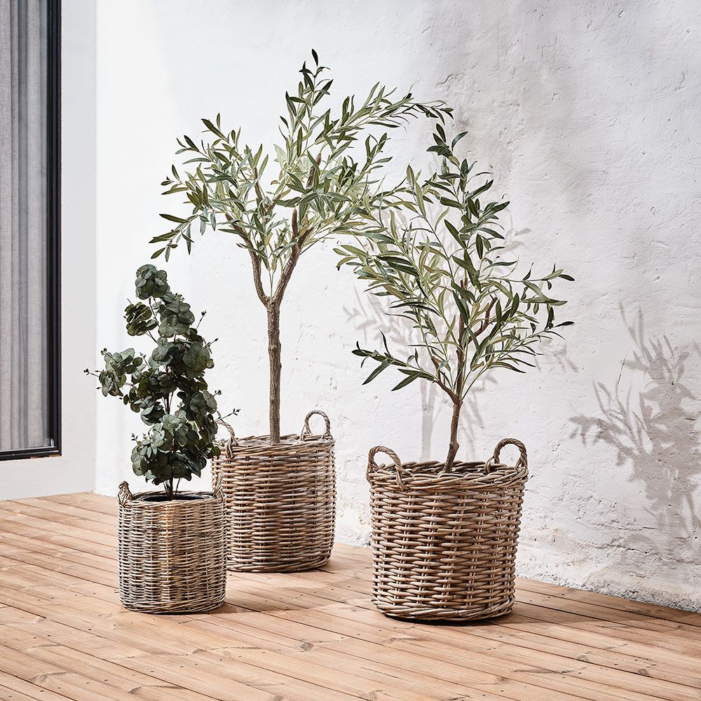 Mākslīgais augs HAVHEST