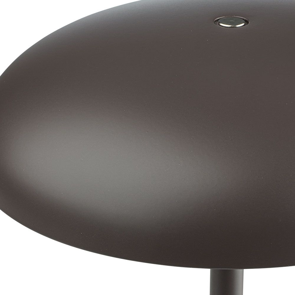 Ar baterijām darbināma lampa FLORIAN