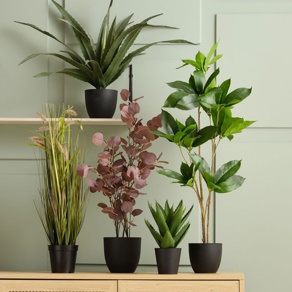 Mākslīgais augs CELIUS