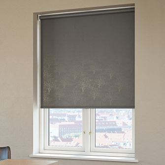 Aptumšojošas rullo žalūzijas YNGEN 60x170