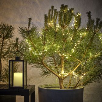300 LED lampiņu virtene LASURIT