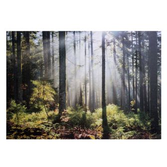 Fotoglezna PRINTS
