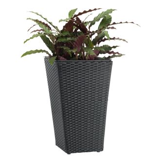 Puķu pods BLOMMOR