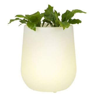 LED puķu pods EKOXE