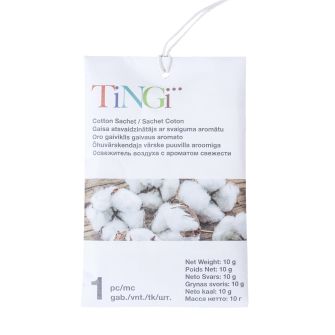 Gaisa atsvaidzinātājs TINGI