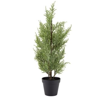Ziemassvētku eglīte podiņā GROSSULAR 60cm